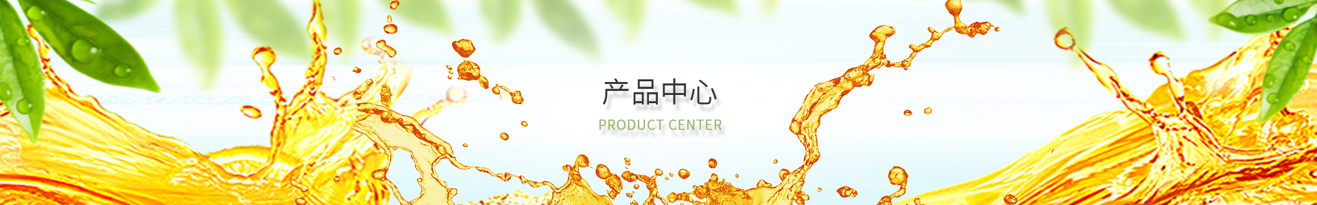 大红鹰dhy(中国)有限公司官网