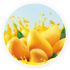 大红鹰dhy(中国)有限公司官网