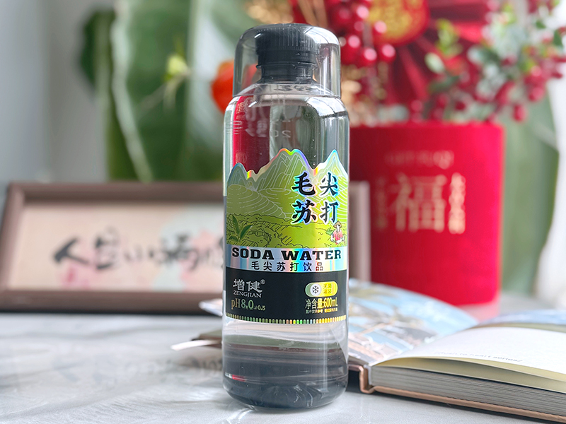 大红鹰dhy(中国)有限公司官网